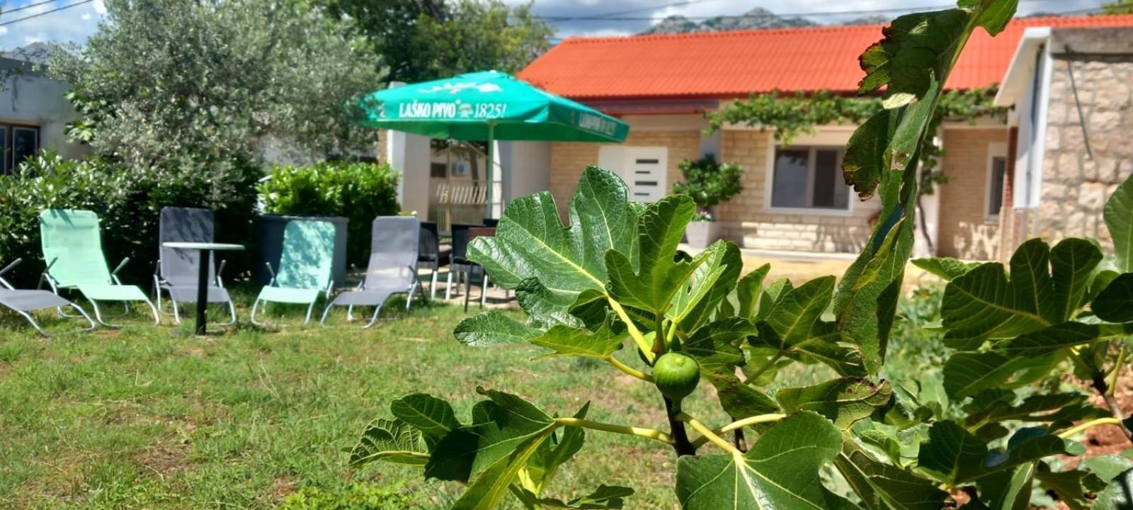 Holiday Home Zeljko,Marija & Jakov Стариград-Пакленица Экстерьер фото